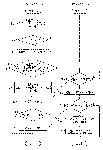 syouhin-kanri-5.gif