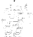 maile-sousin-1.gif