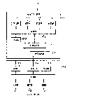 test-houhou-2.gif