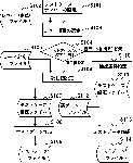 test-kensyu-2.gif
