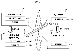 kaisyu-3.gif