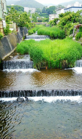 釣り マイナー河川 気胸研究所