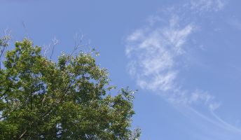 【3D】2020年9月の撮影日記
