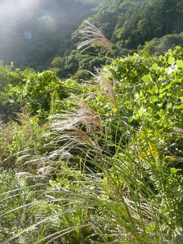 P1030343.JPG