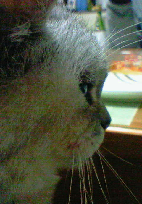 061227001.JPG
