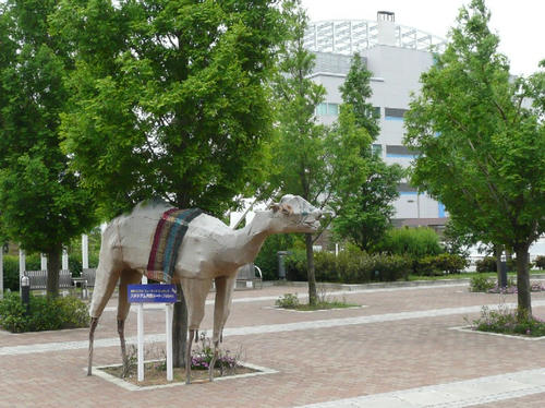 P1090440.JPG
