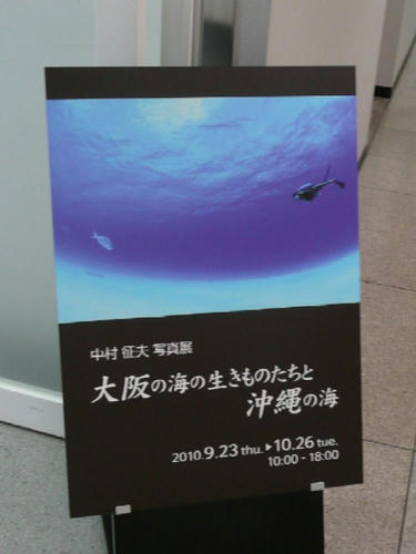 P1120293.JPG