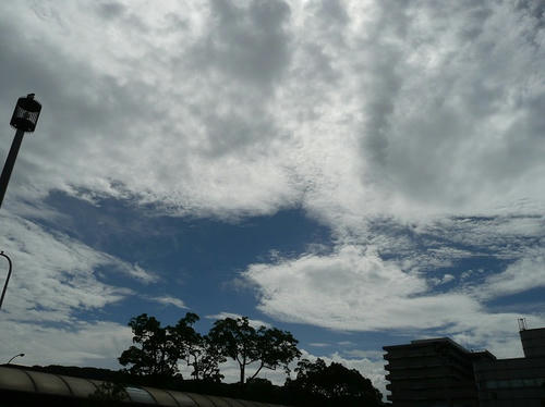 P1250778.JPG