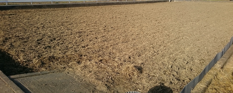 管理機で除草し終えた田圃