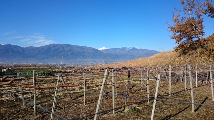 大塚の園の棚上から望む北岳