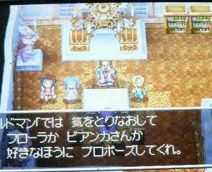 dq5_02.jpg