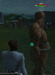 swg2.jpg