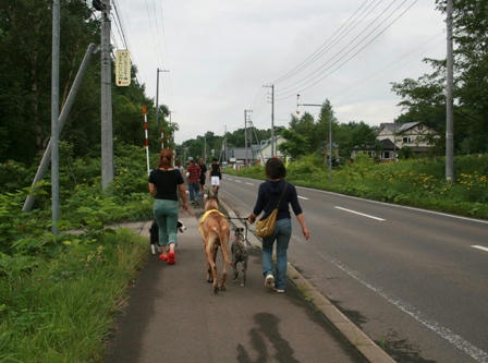 04.jpg