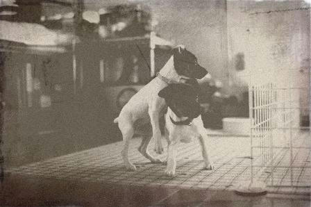 oldphoto.jpg