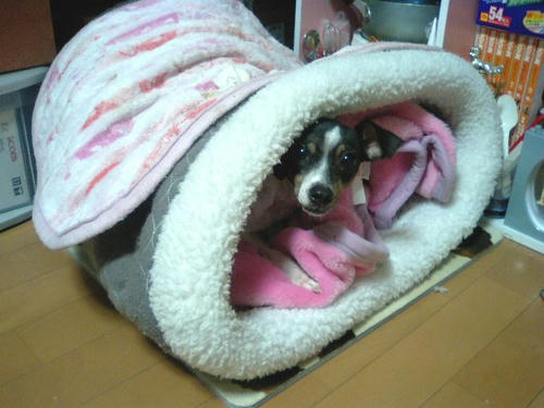 CA330330.JPG