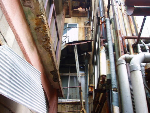 P1012210.jpg