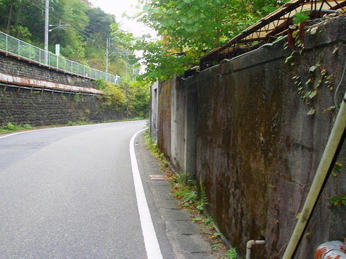P1012224.jpg