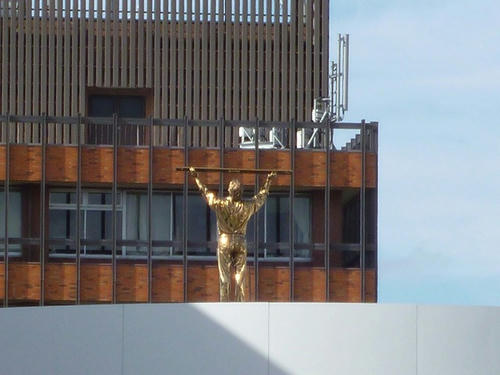 P1000244.jpg