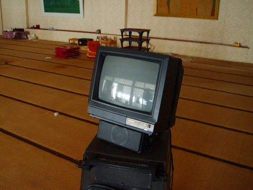 P1011956.jpg