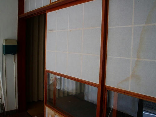 P1011966.jpg