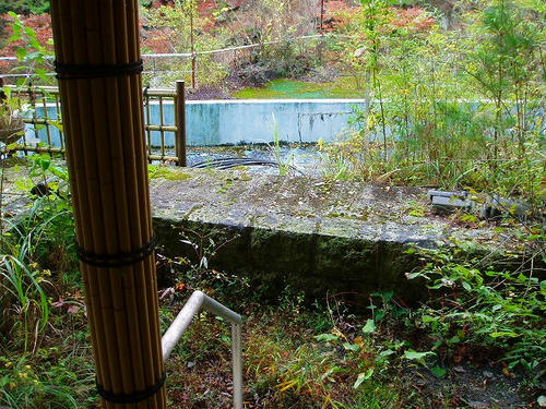 P1012043.jpg