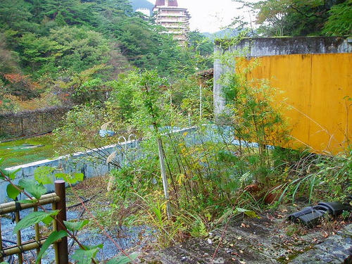 P1012044.jpg