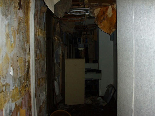 P1011967.jpg