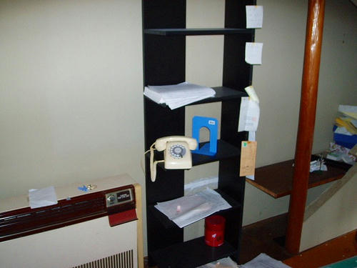 P1011968.jpg
