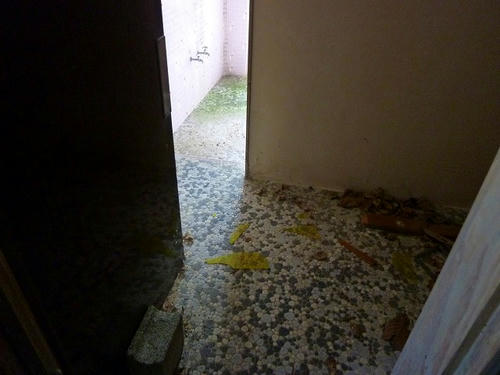P1000579.jpg