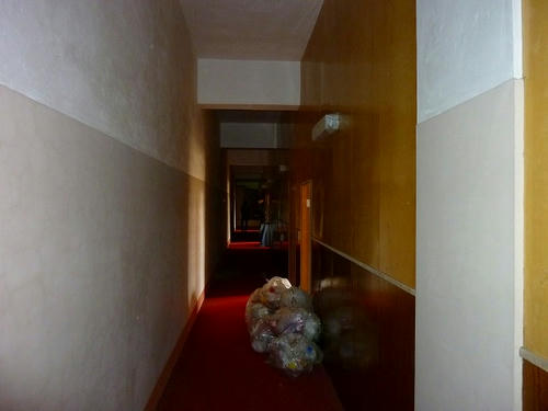 P1000575.jpg