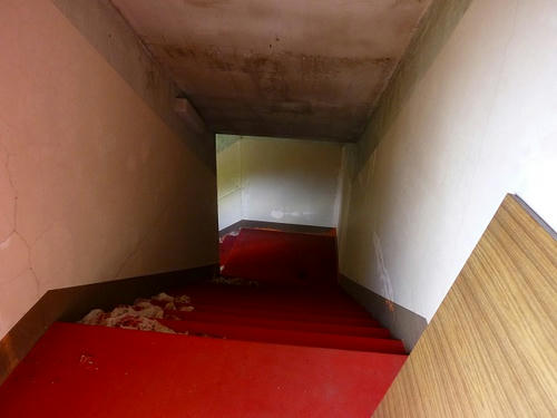 P1000584.jpg