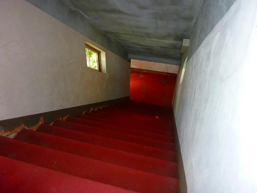 P1000588.jpg