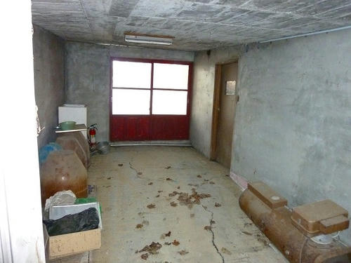 P1000787.jpg