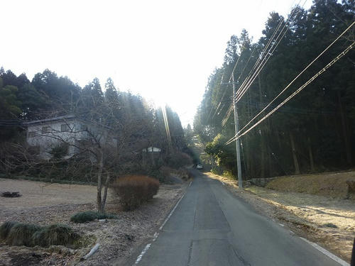 P1080404.jpg