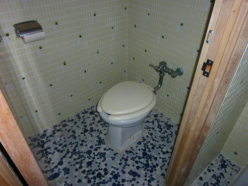 P1000747.jpg