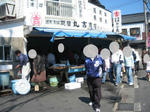 sajima3.jpg
