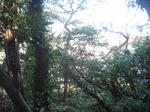 urayama.jpg