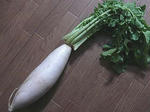 miuradaikon.jpg