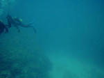 umidesinukoto.jpg