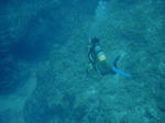 solodiving.jpg