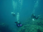 diver.jpg