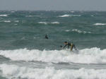surfer.jpg