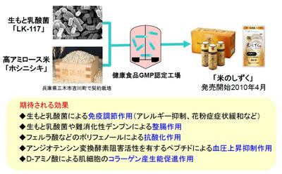 米のしずく 効果まとめ