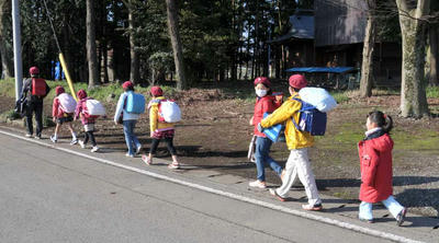 SP1_1742.jpg