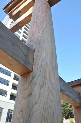 SP1_3814.jpg