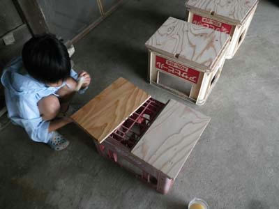 IMGP2223.jpg