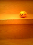 Image1254.jpg