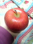 Image2060.jpg