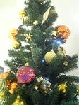 Image2076.jpg