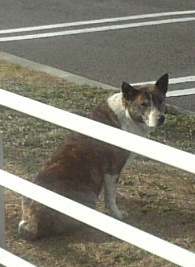 Image2173.jpg